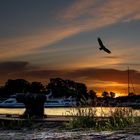 Frühlingsspaziergang im Hafen