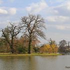 Frühlingsspaziergang im Wörlitzer Park