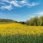 Frühlingsspaziergang in Bad Harzburg