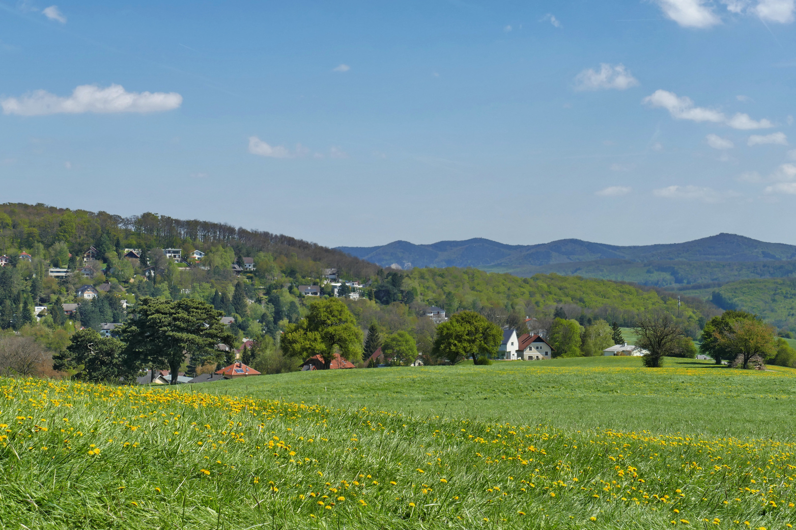 Frühlingsspaziergang in Breitenfurt