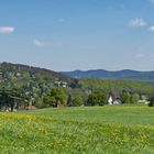 Frühlingsspaziergang in Breitenfurt