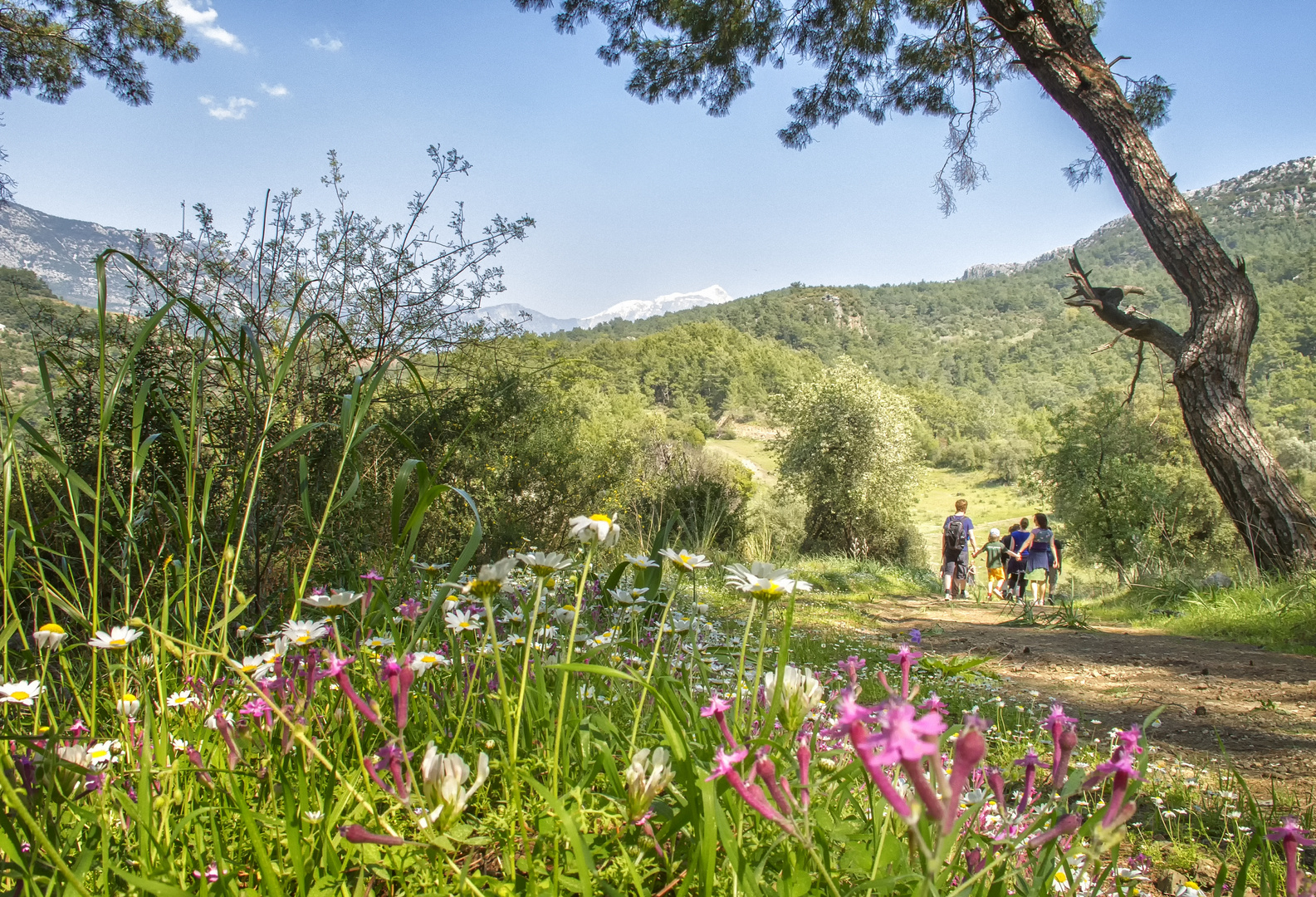 Frühlingsspaziergang in Lykien