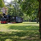 Frühlingsspaziergang mit Lok 11 im Frankfurter Rebstockpark