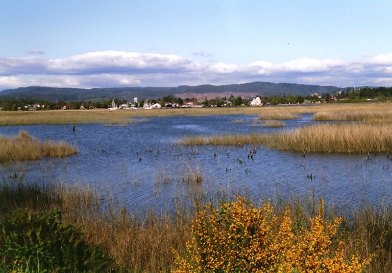 Frühlingsspaziergang (Valdivia, Chile)