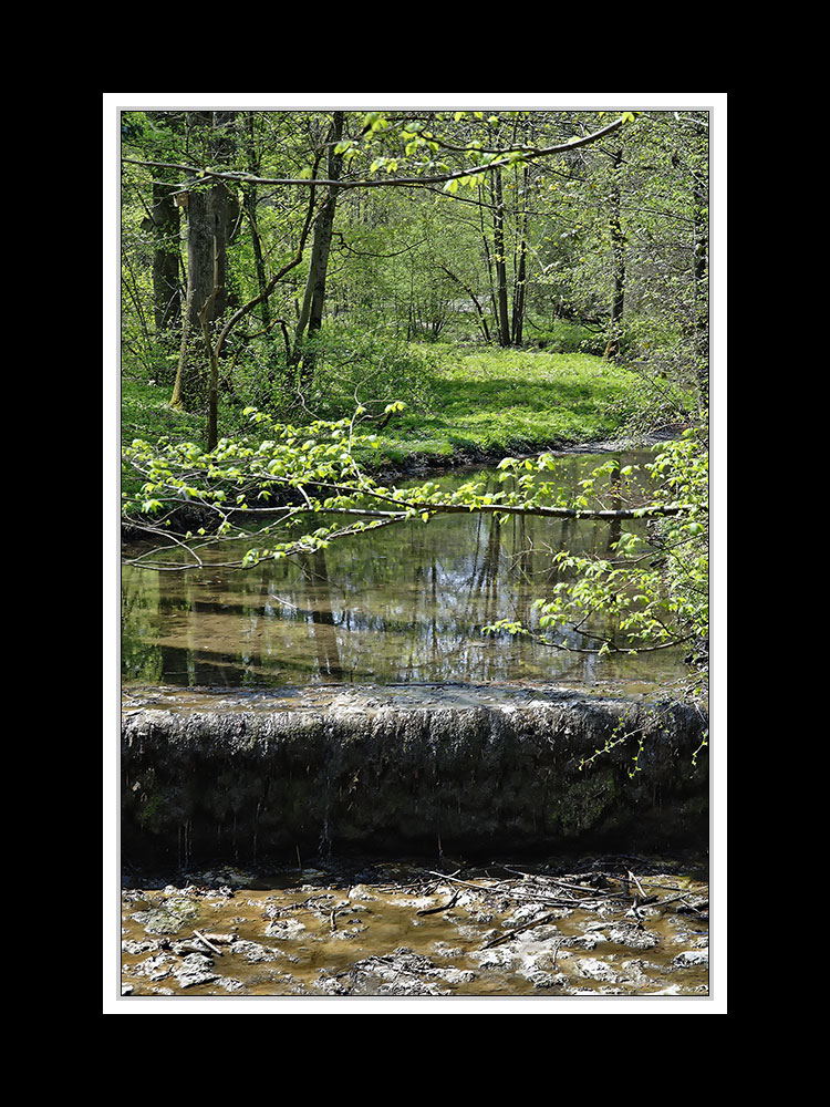 Frühlingsspaziergang von Neu- nach Altötting 08