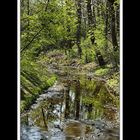 Frühlingsspaziergang von Neu- nach Altötting 09