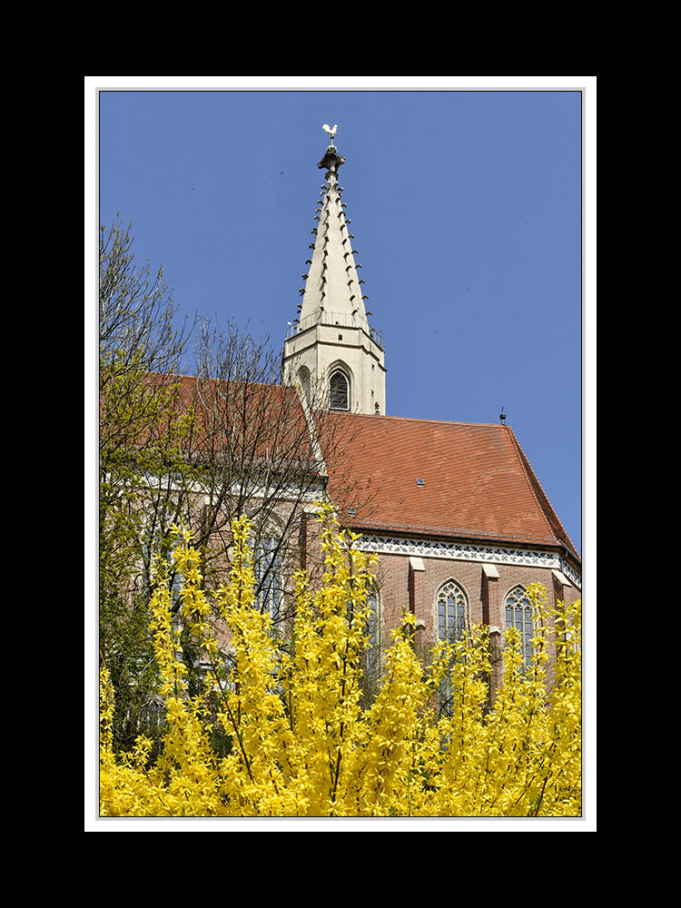 Frühlingsspaziergang von Neu- nach Altötting