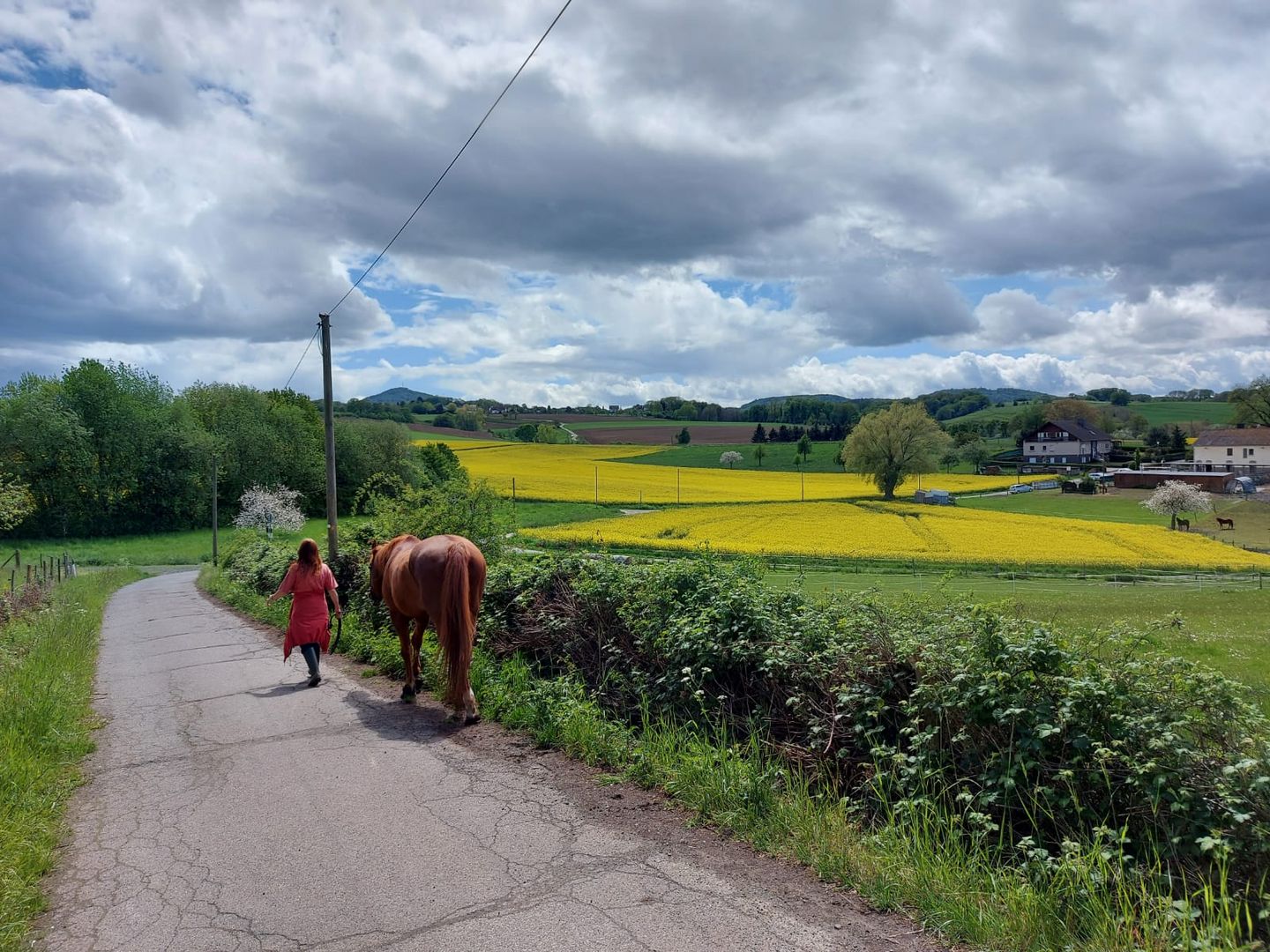 Frühlingsspaziergang zu zweit