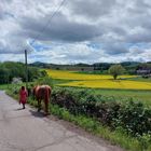 Frühlingsspaziergang zu zweit