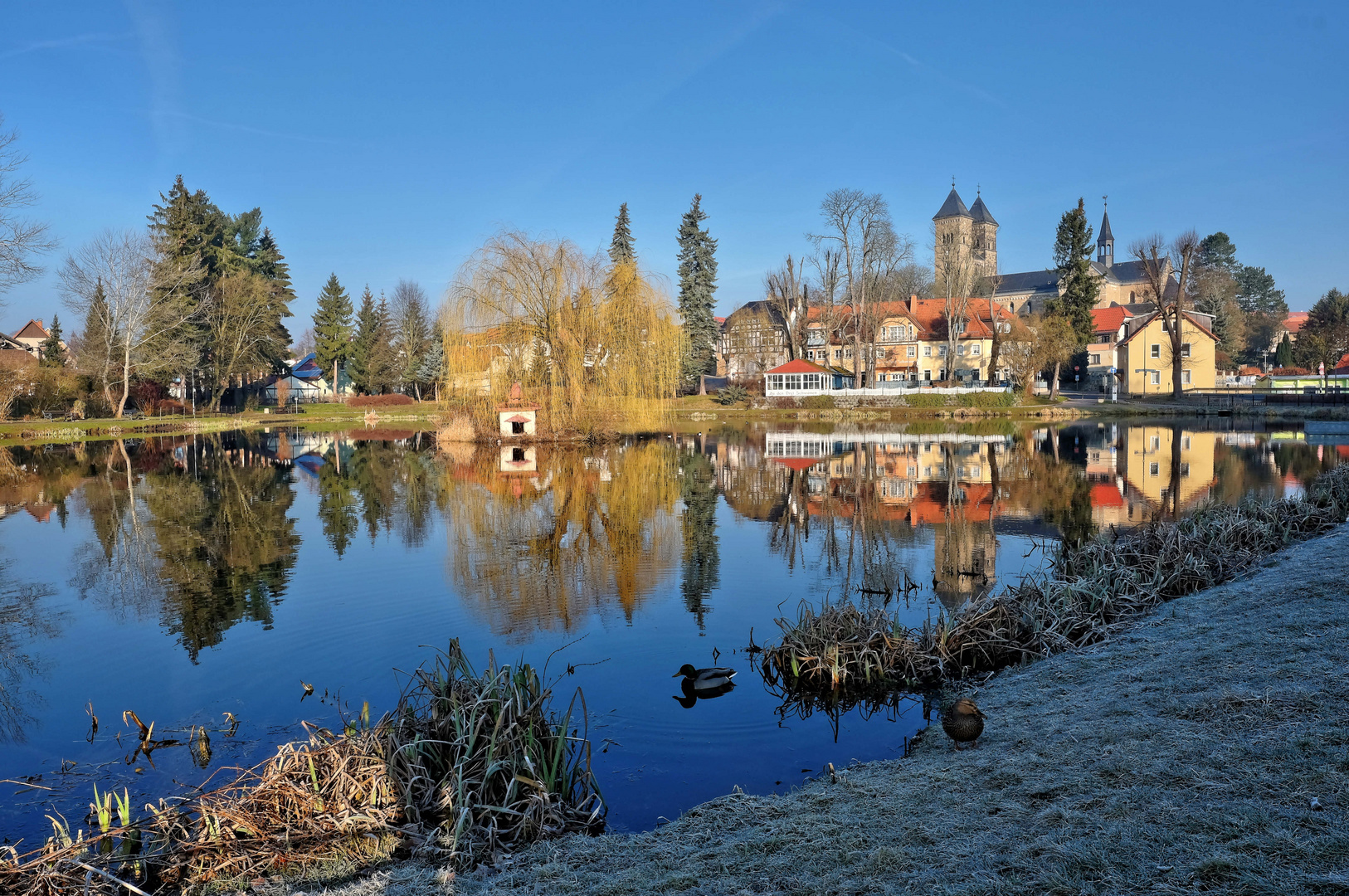 Frühlingssstimmung 2 - Klosterlausnitz in Thüringen am frühen Morgen
