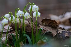 Frühlingsstack