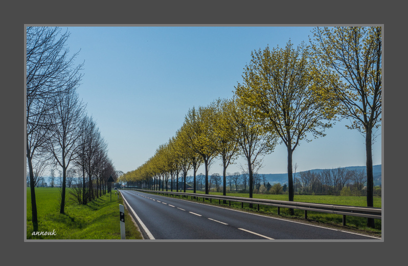 Frühlingsstand am Straßenrand - Décalage au bord de la route III