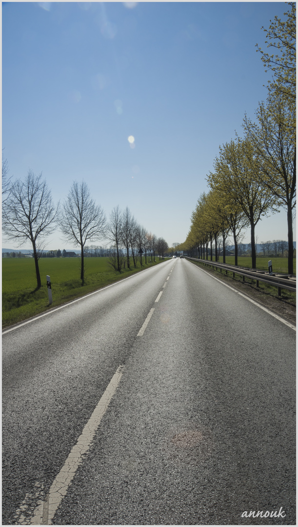 Frühlingsstand am Straßenrand - Décalage printanier au bord de la route I