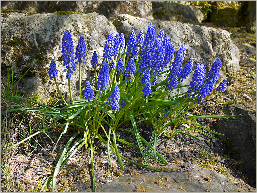 Frühlingsstart