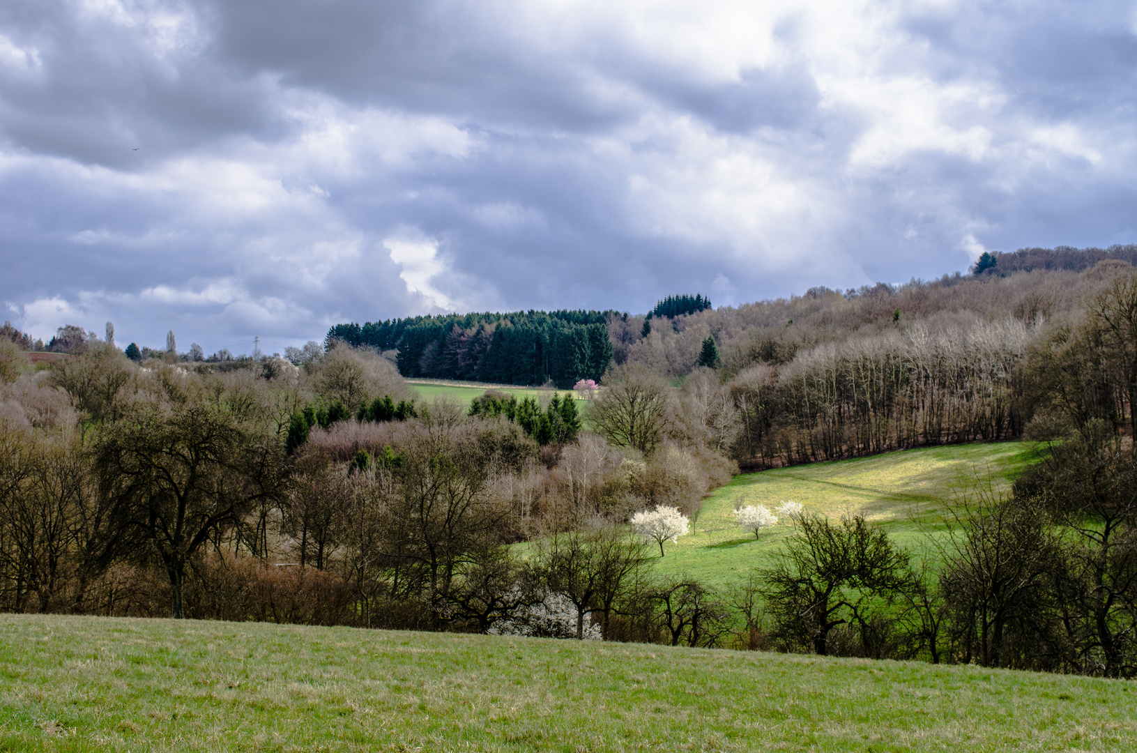 Frühlingsstart