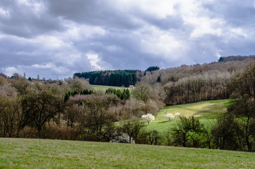 Frühlingsstart