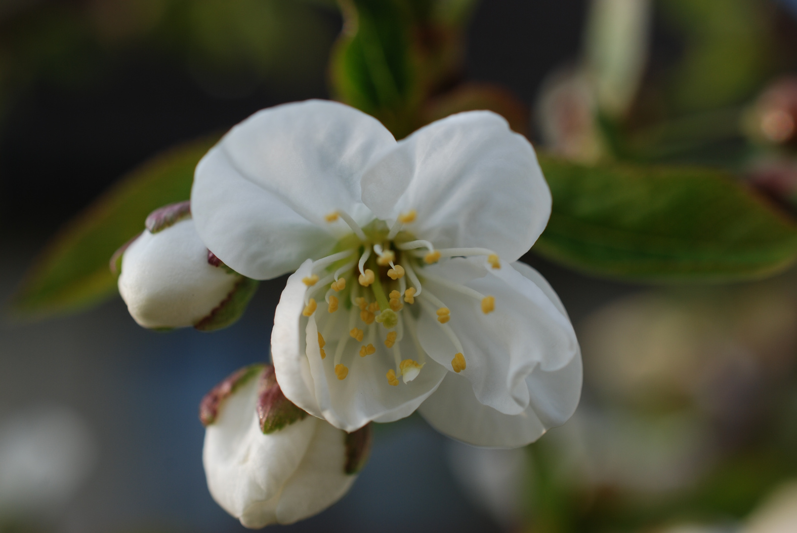 Frühlingsstart