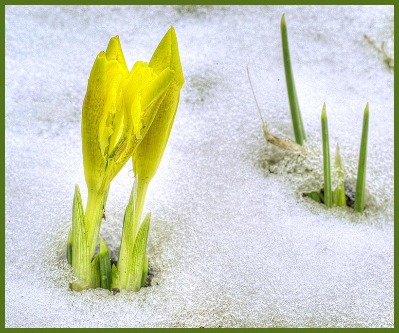 Frühlingsstart