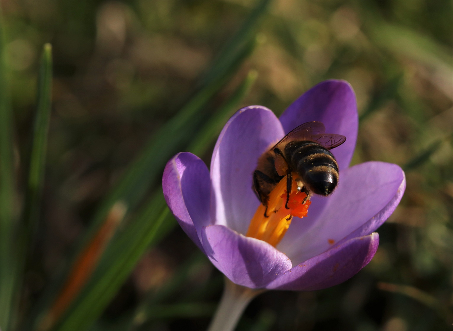 Frühlingsstart