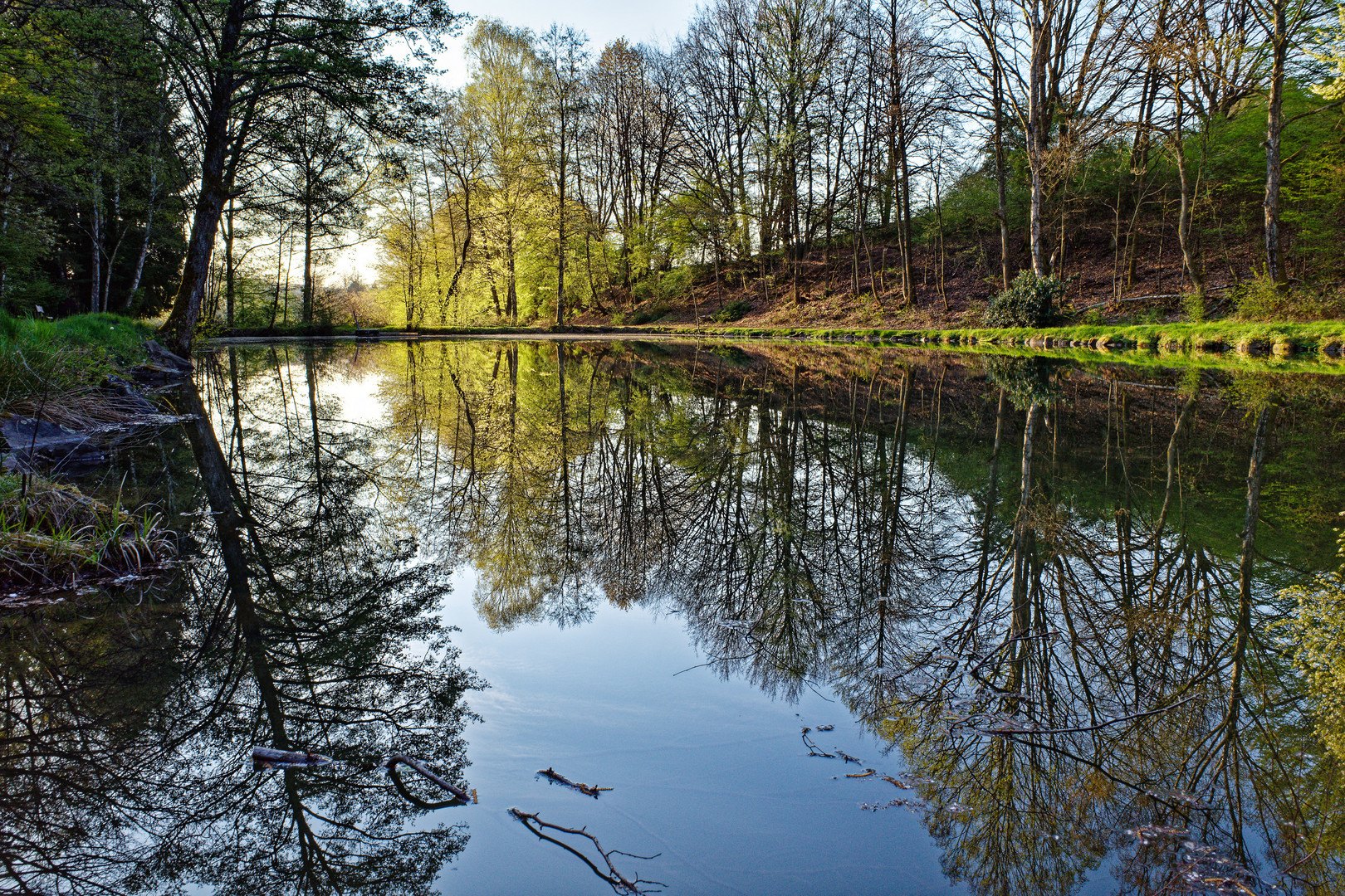 Frühlingsstart am Lasbachteich