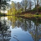 Frühlingsstart am Lasbachteich