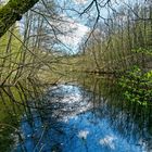 Frühlingsstart am namenlosen Waldteich