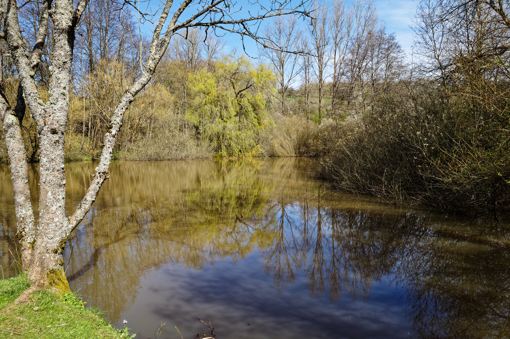 Frühlingsstart am Randsbachweiher