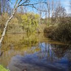 Frühlingsstart am Randsbachweiher