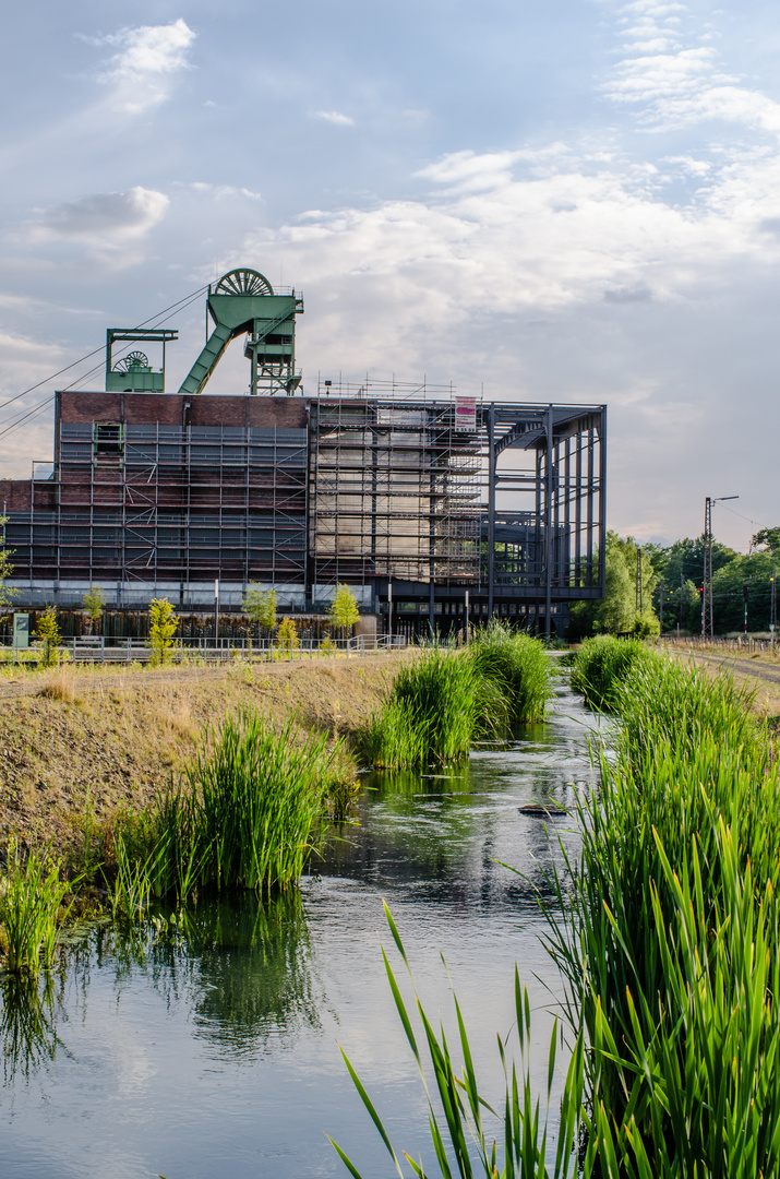 Frühlingsstart in den Wassergärten Landsweiler-Reden