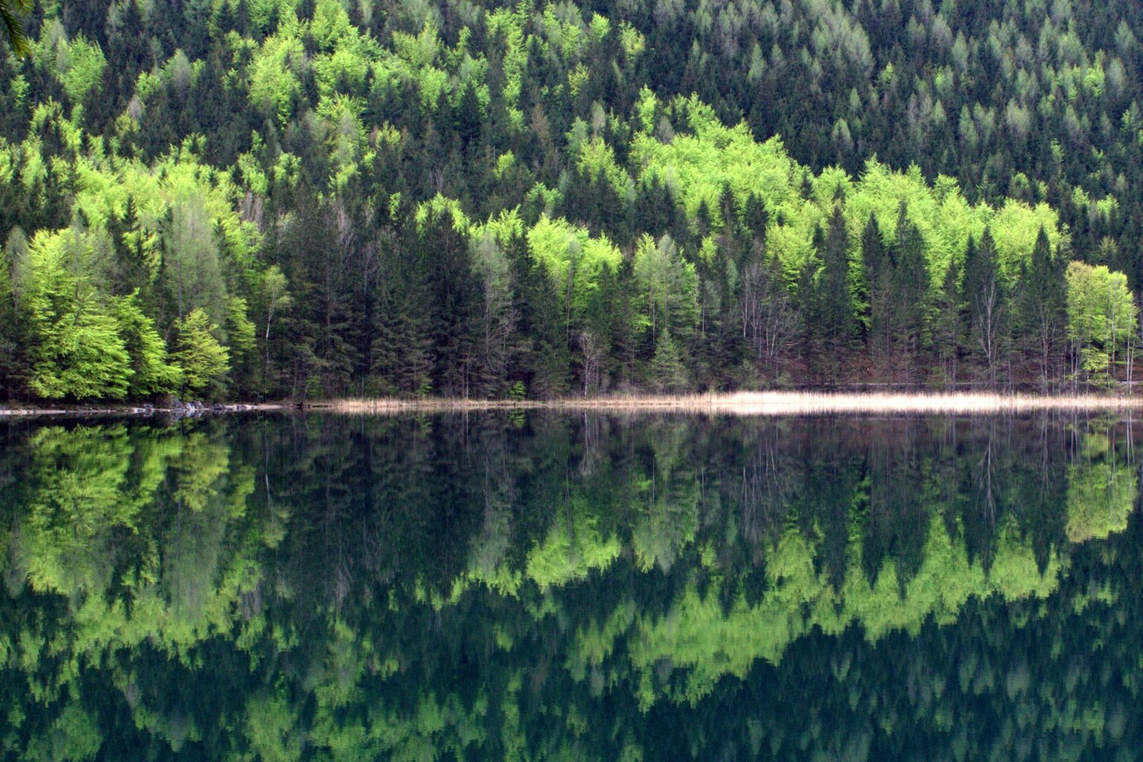 Frühlingsstille am See