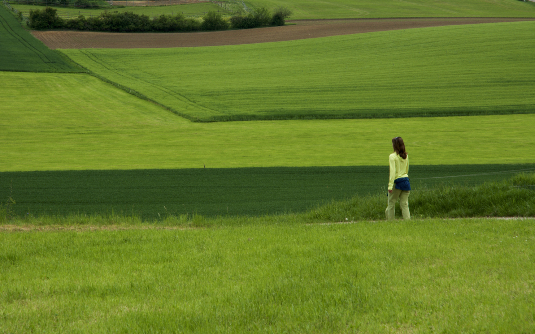 Frühlingsstimmung