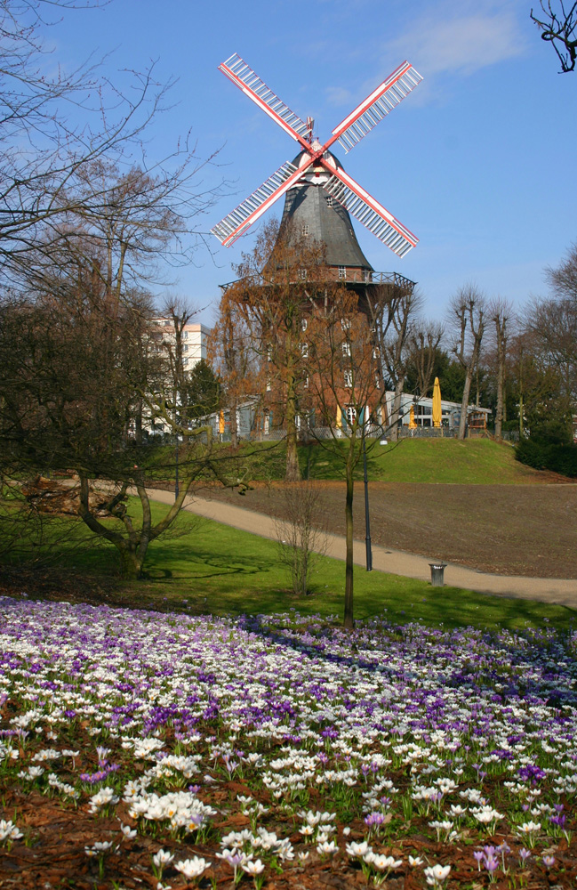 Frühlingsstimmung