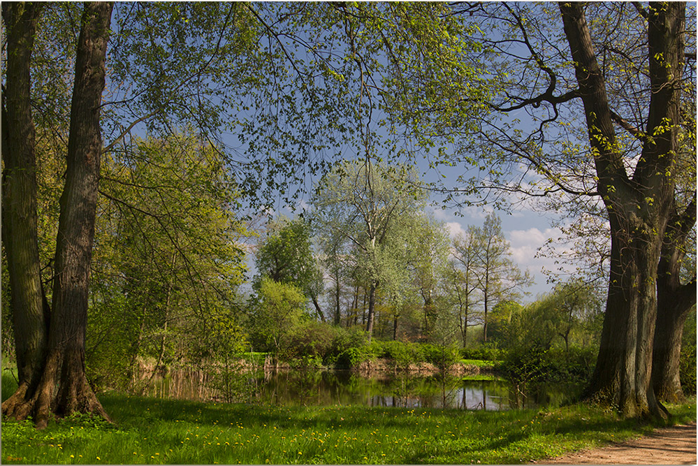 Frühlingsstimmung