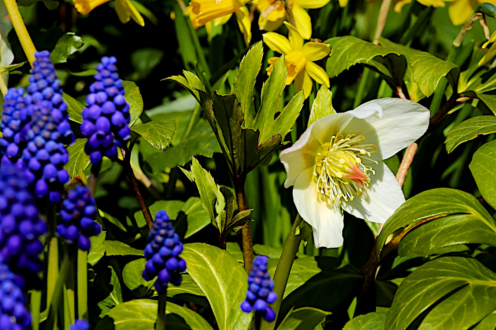 Frühlingsstimmung