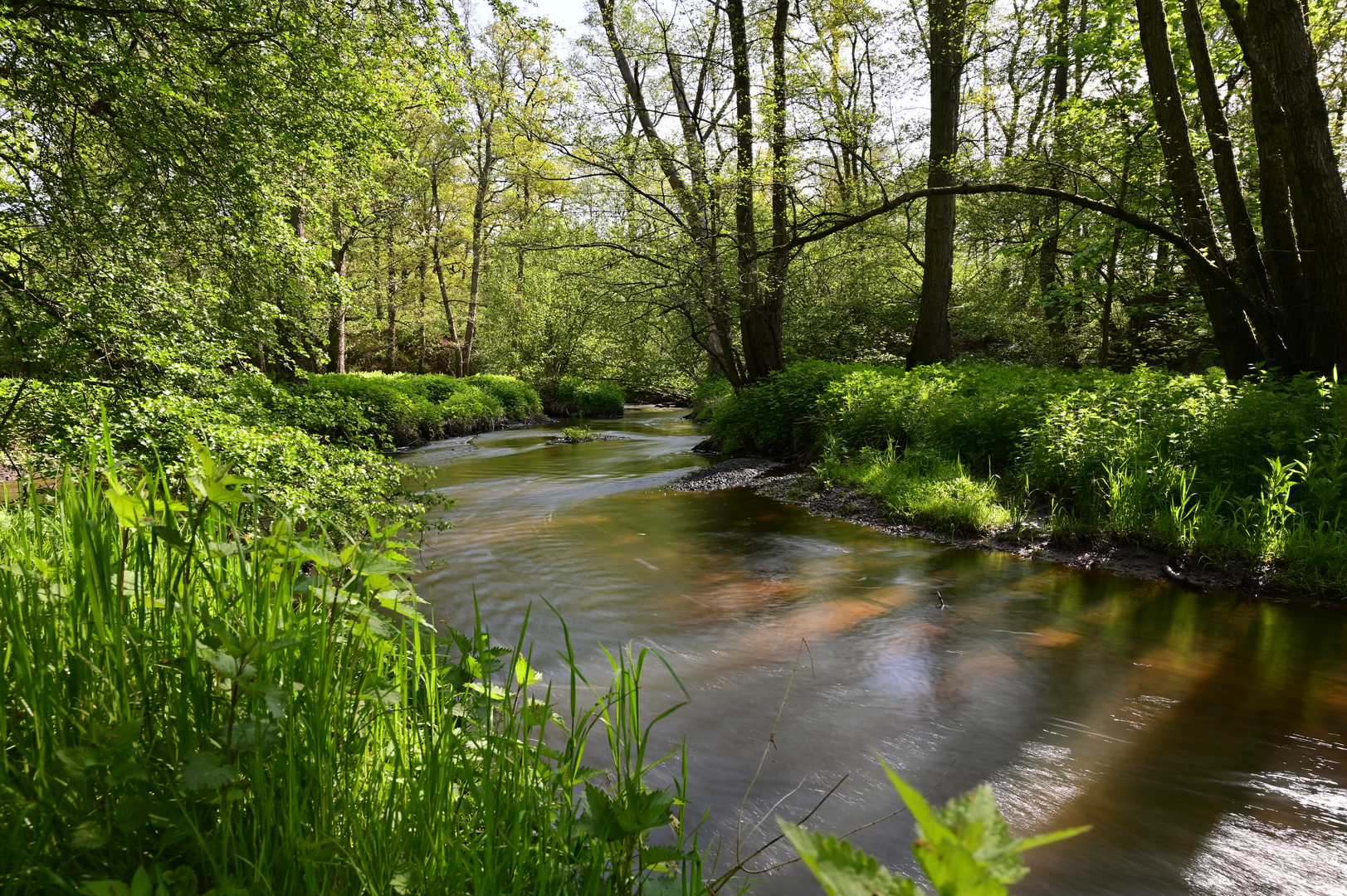 Frühlingsstimmung am Bach