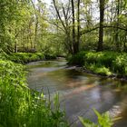 Frühlingsstimmung am Bach