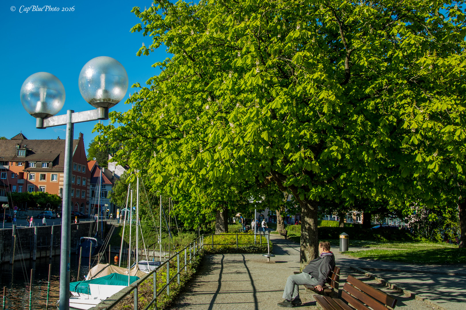 Frühlingsstimmung am Bodensee