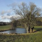 Frühlingsstimmung am Liebenfelser Weiher