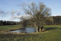 Frühlingsstimmung am Liebenfelser Weiher