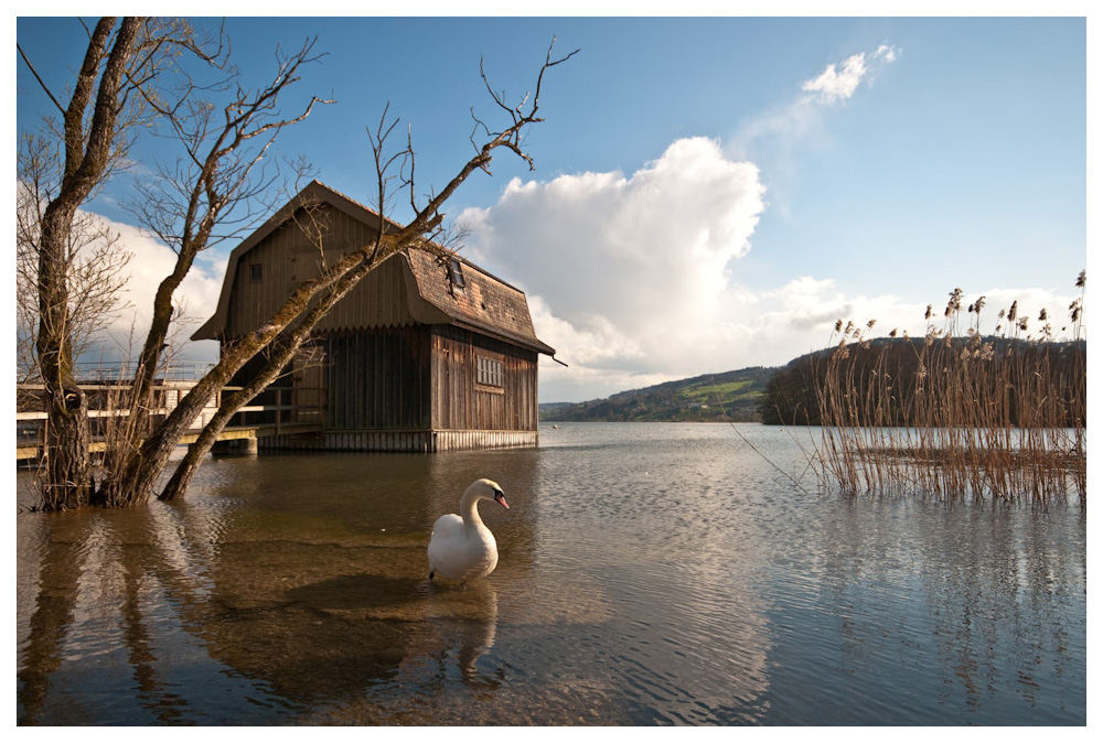 Frühlingsstimmung am See