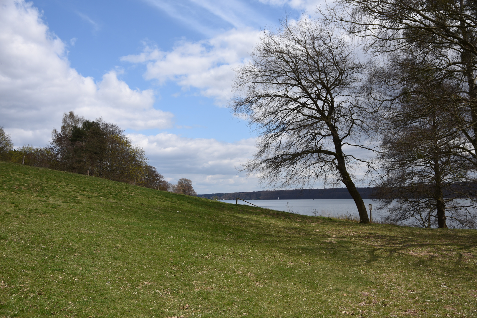 Frühlingsstimmung am Werbellinsee