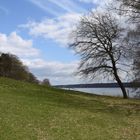 Frühlingsstimmung am Werbellinsee