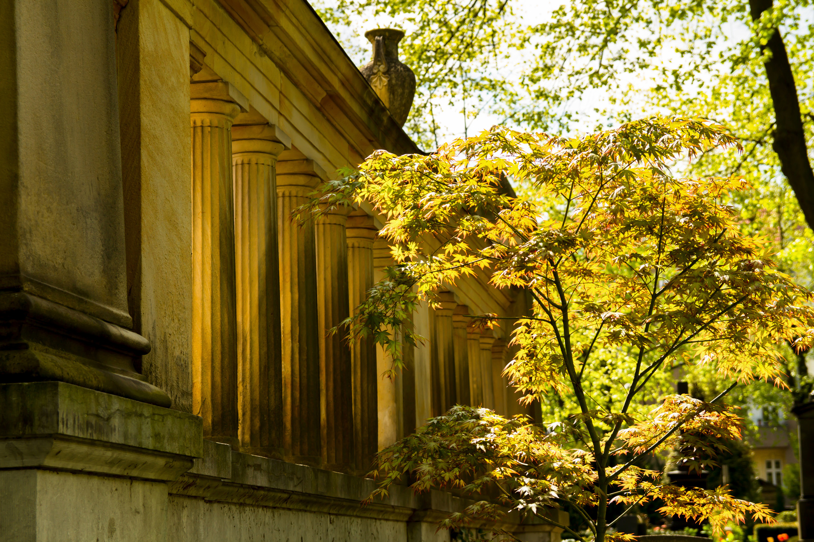 Frühlingsstimmung auf dem Friedhof