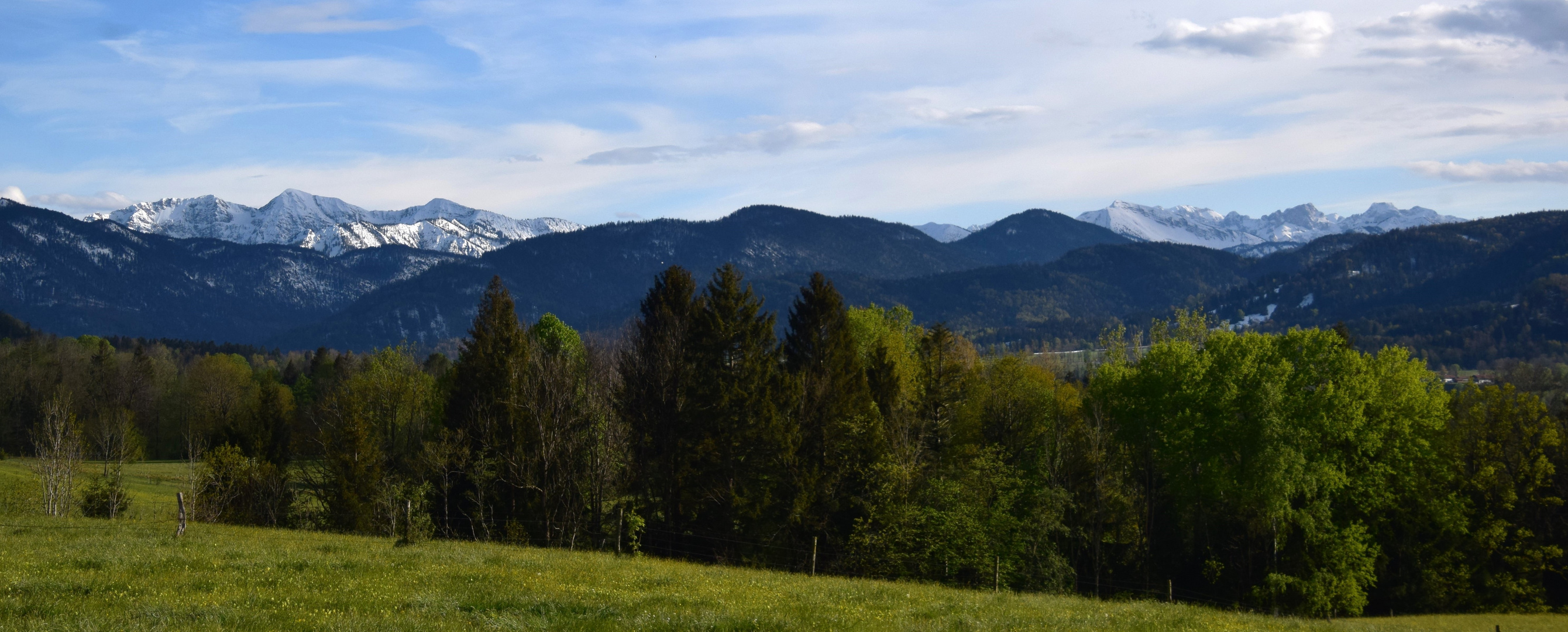 Frühlingsstimmung