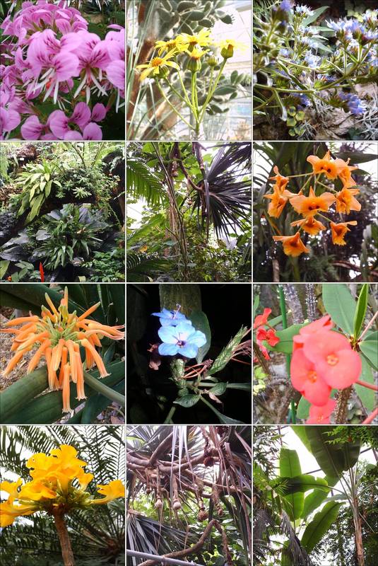 Frühlingsstimmung im botanischen Garten - Zürich