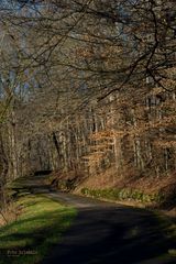 Frühlingsstimmung im Dezenber