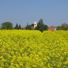 Frühlingsstimmung im Gäu