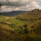 Frühlingsstimmung im Neidlinger Tal