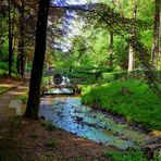 Frühlingsstimmung im Park