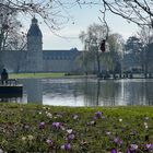 Frühlingsstimmung im Schlosspark Karlsruhe